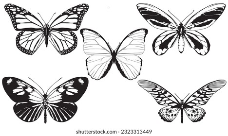 Butterflies Silhouette vector set illustration