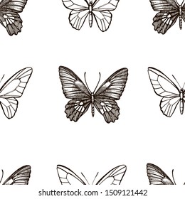 Butterflies silhouettes. Butterfly icons isolated on white background. Graphic illustration. Seamless patterns