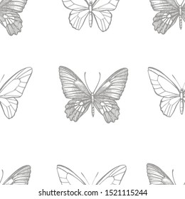 Butterflies silhouettes. Butterfly icons isolated on white background. Graphic illustration. Seamless patterns