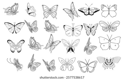 Butterflies silhouettes. Moth and butterfly wings pattern laser cut outline. Flying insect decorative. Butterflies tattoo vector set. Butterfly dragonfly tattoo, flying moth black white illustration