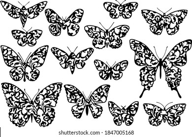 Butterflies silhouettes with ornament. Graphics for paper cut on white background