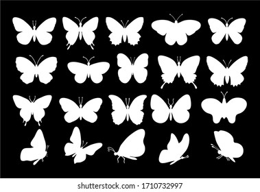 Butterflies silhouettes. spring butterfly silhouette collection white on a black background. Vector butterfly set. Different types of butterflies icons. 