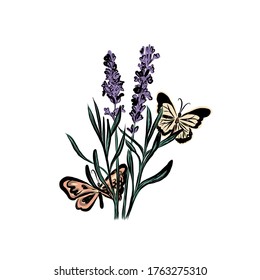 Butterflies sit on lavender branch