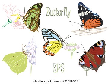 Butterflies, sitting on flowers and tree