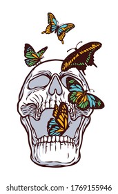 butterflies and skulls vector illustration