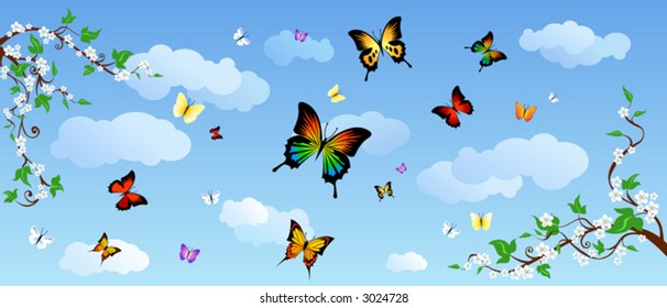 Butterflies in the sky