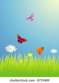 Butterflies in a spring meadow with wildflowers