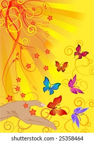 butterflies in the sun