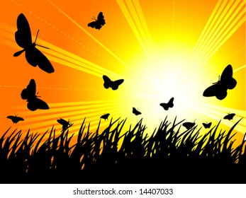 Butterflies at Sunset