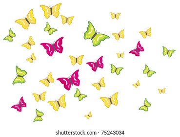 Butterflies swarm