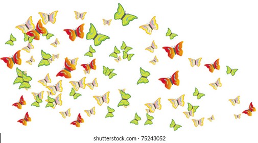 Butterflies swarm