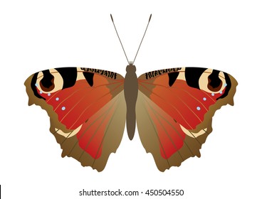 Butterflies that live in Japan