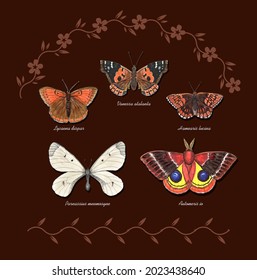 Butterflies with their latin names. The Duke of Burgundy, Cloud Apollo, Large Copper, Lo Moth, Red Admiral. Live trace of marker sketch set.