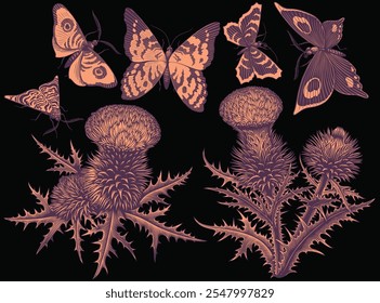 Butterflies and thistles. Environment. Design set. Editable hand drawn illustration. Vector vintage engraving. Isolated on black background. 8 EPS