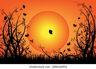 Butterflies and tree in the garden during sunset with orange sky in the summer for silhouette  background.