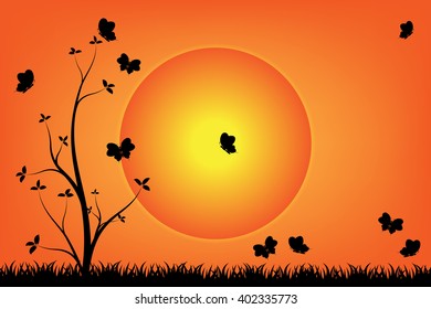 butterflies and tree in the garden during sunset and orange sky.