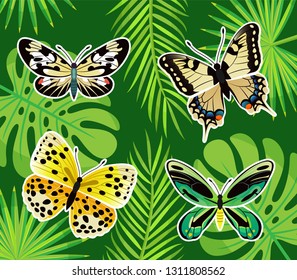 Butterflies tropical creatures vector, insects of different color. Exotic leaves of palm tree and monstera plant. Nature and natural flora and fauna