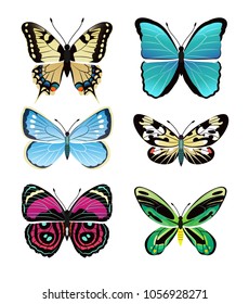 Butterflies types collection with colorful wings, antennas and heads papilionidae set of butterflies, vector illustration isolated on white background