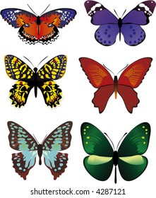 butterflies - vector
