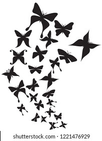 butterflies vector illustration