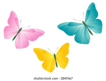 Butterflies (Vector Illustration)