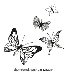 Butterflies vector illustration isolated on white background