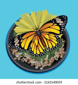 Butterflies vector illustration on a yellow flower on a cactus in a pot blue background.