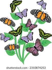  Butterflies Vector image or clipart