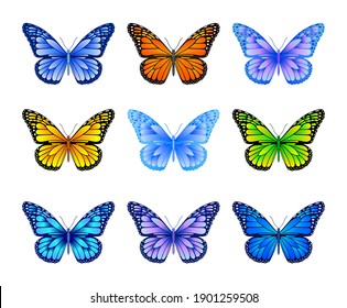 Butterflies vector image for web design and print