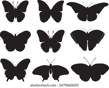 Vector de mariposas aislado sobre fondo blanco