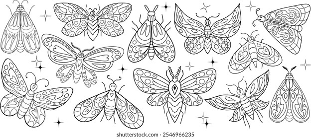 Butterflies vector set. moth butterfly. Collection of vintage elegant line art hand drawing doodle sketch of butterflies. Insect winged gorgeous vector illustration