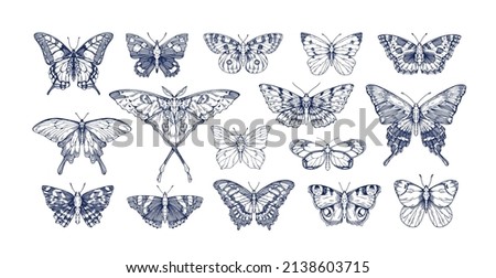 Butterflies in vintage style set. Outlined sketches of flying insects, moths species collection. Retro detailed line drawings. Engraved hand-drawn vector illustrations isolated on white background