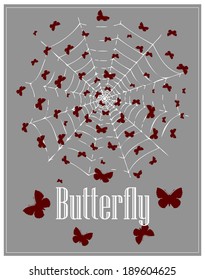 Butterflies in the web