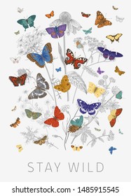 Butterflies and wild flowers. Card. Vector vintage classic illustration. Stay wild. Colorful
