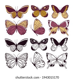 Butterflies wild insect set. Arthropod animals. Vector illustration.