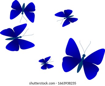 Butterflies.Bright blue beautiful butterflies.Set on a white background.Vector.