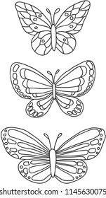 butterflies,isolated on a white vector drawn illustrations