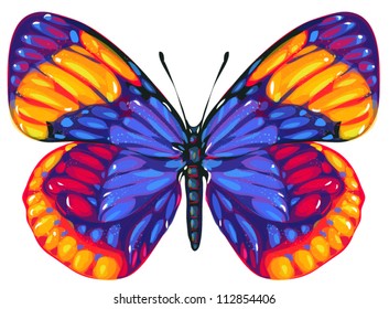 butterfly