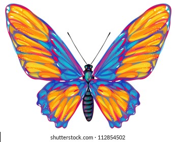 butterfly