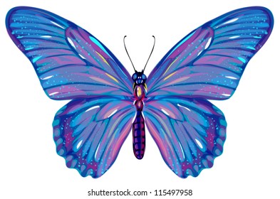 butterfly