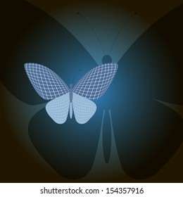 butterfly