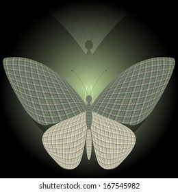 butterfly
