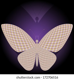 butterfly
