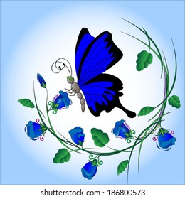 butterfly