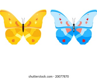 butterfly