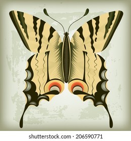 butterfly