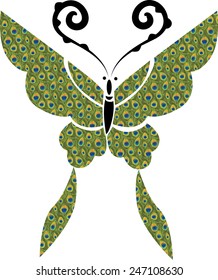 butterfly
