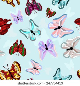  butterfly