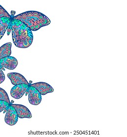  butterfly