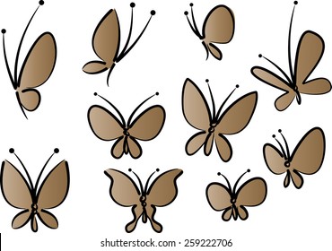 butterfly